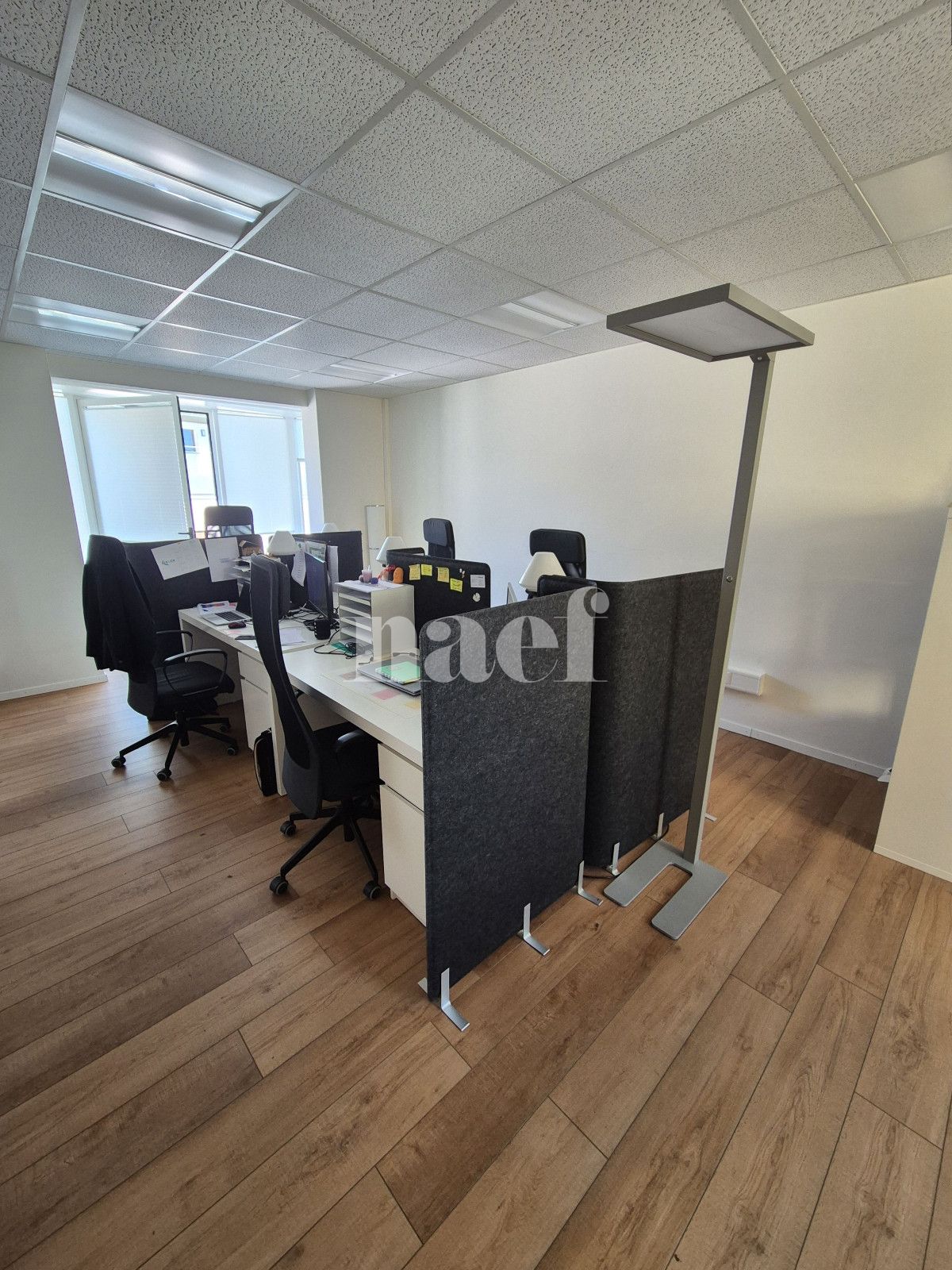 À louer : Surface Commerciale Bureau Nyon - Ref : 205831.3001 | Naef Immobilier