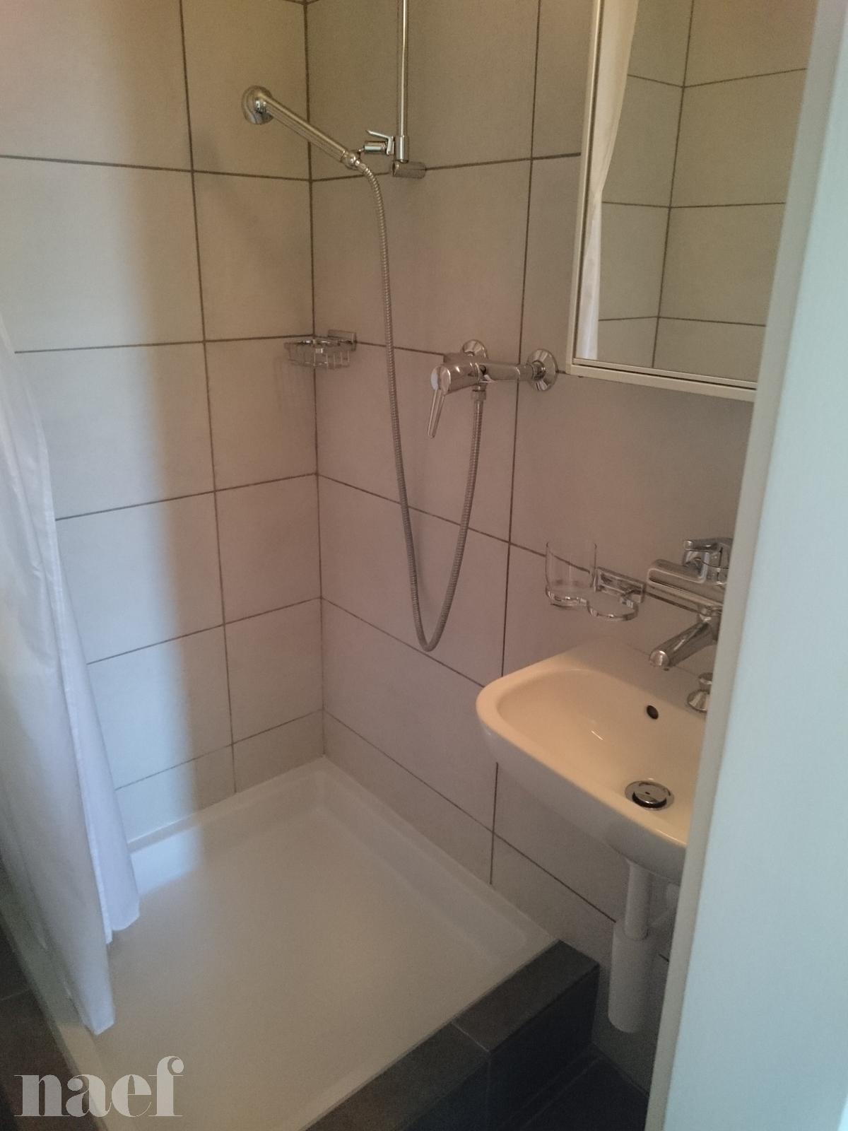 À louer : Appartement 2.5 Pieces Colombier NE - Ref : 208018.1001 | Naef Immobilier