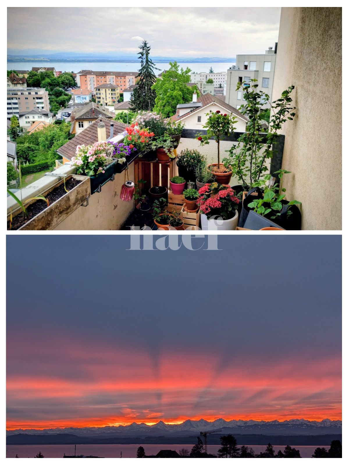 À louer : Appartement 3 Pieces Neuchâtel - Ref : 208022.5002 | Naef Immobilier