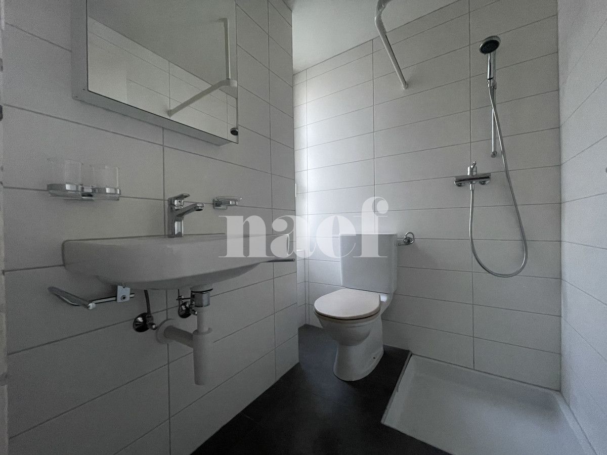 À louer : Appartement 1 Pieces Colombier NE - Ref : 208089.1 | Naef Immobilier