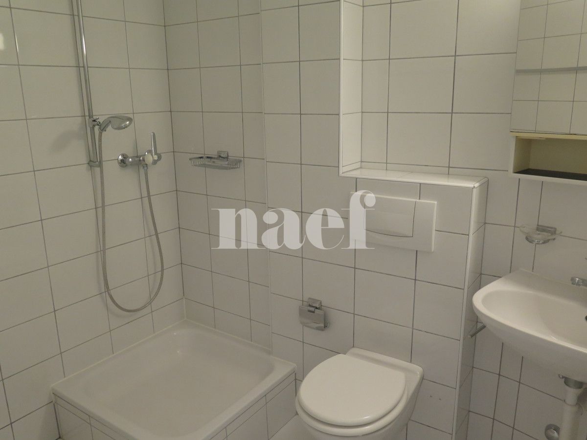 À louer : Appartement 3 Pieces Neuchâtel - Ref : 208164.2001 | Naef Immobilier