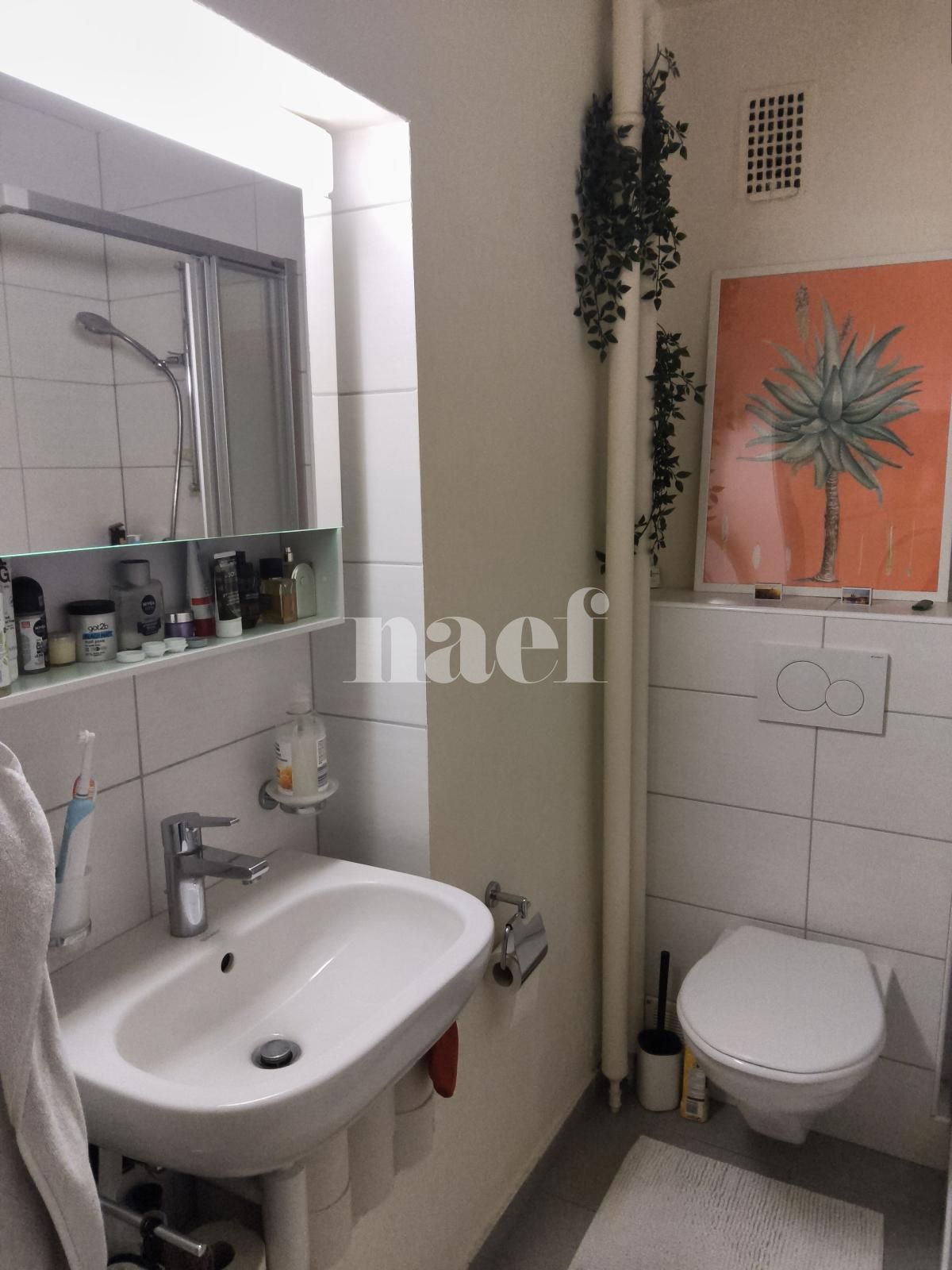 À louer : Appartement Neuchâtel - Ref : 208263.4001 | Naef Immobilier
