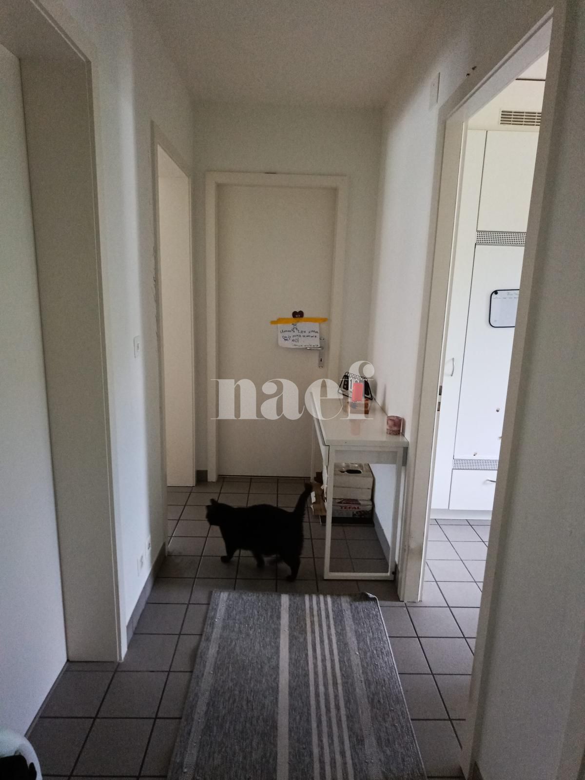 À louer : Appartement 3 Pieces Peseux - Ref : 208296.1002 | Naef Immobilier