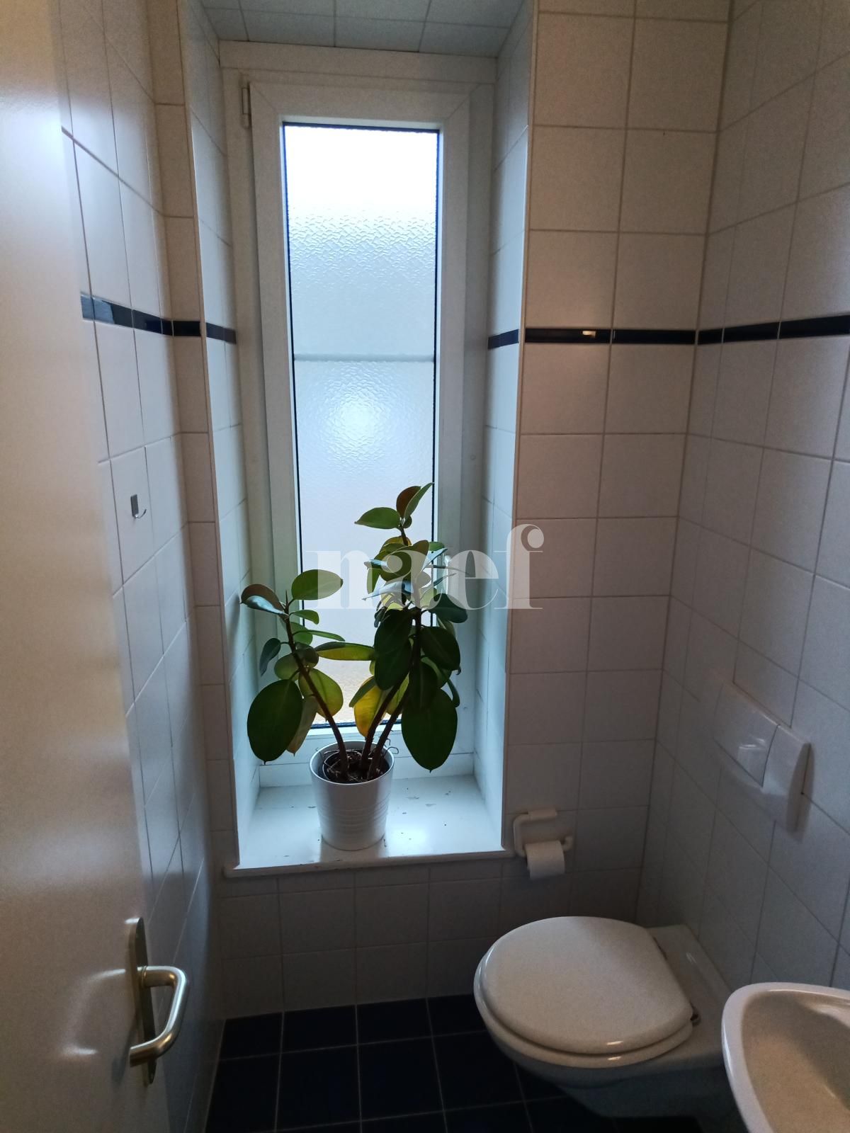 À louer : Appartement 3 Pieces Neuchâtel - Ref : 208330.2002 | Naef Immobilier