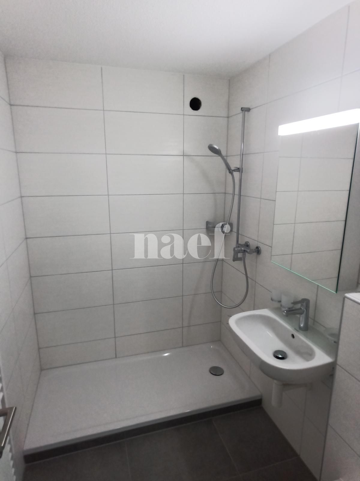 À louer : Appartement 3 Pieces Neuchâtel - Ref : 208412.1001 | Naef Immobilier