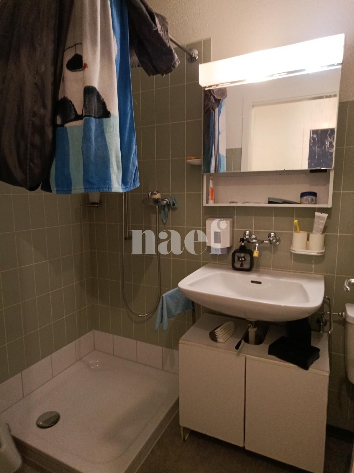 À louer : Appartement 1 Pieces Neuchâtel - Ref : 208412.3006 | Naef Immobilier