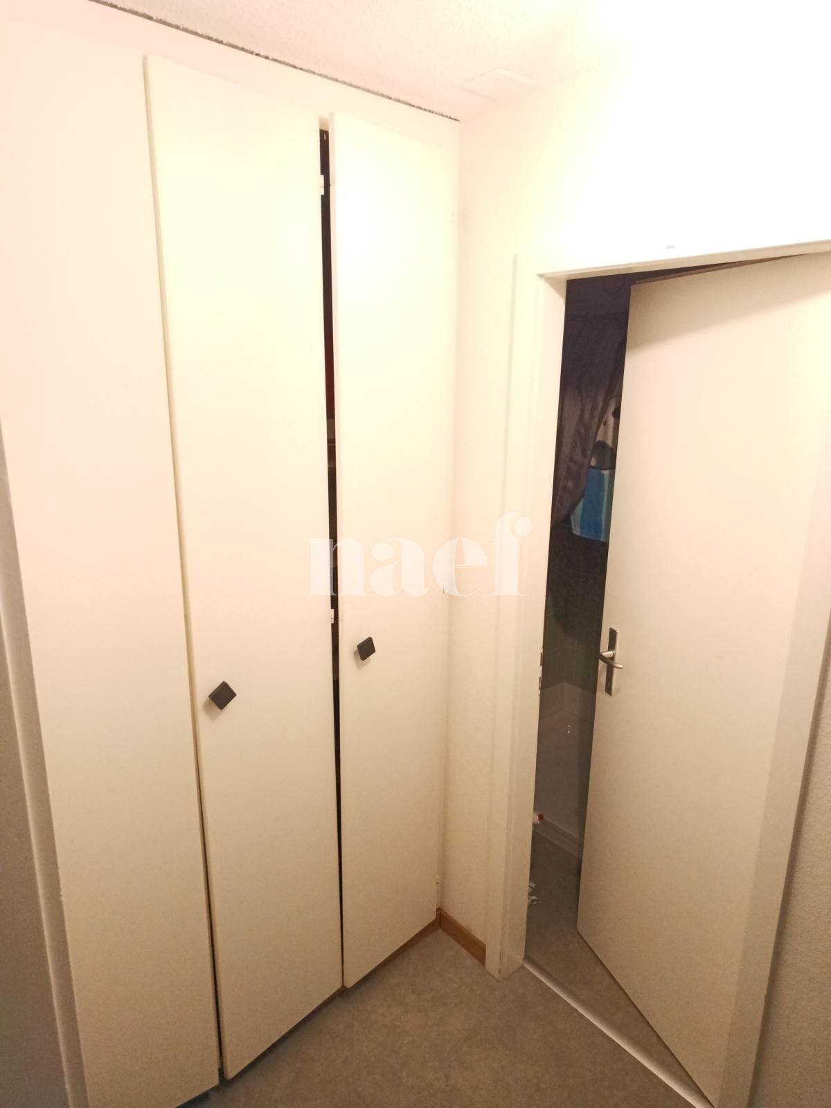 À louer : Appartement 1 Pieces Neuchâtel - Ref : 208412.3006 | Naef Immobilier