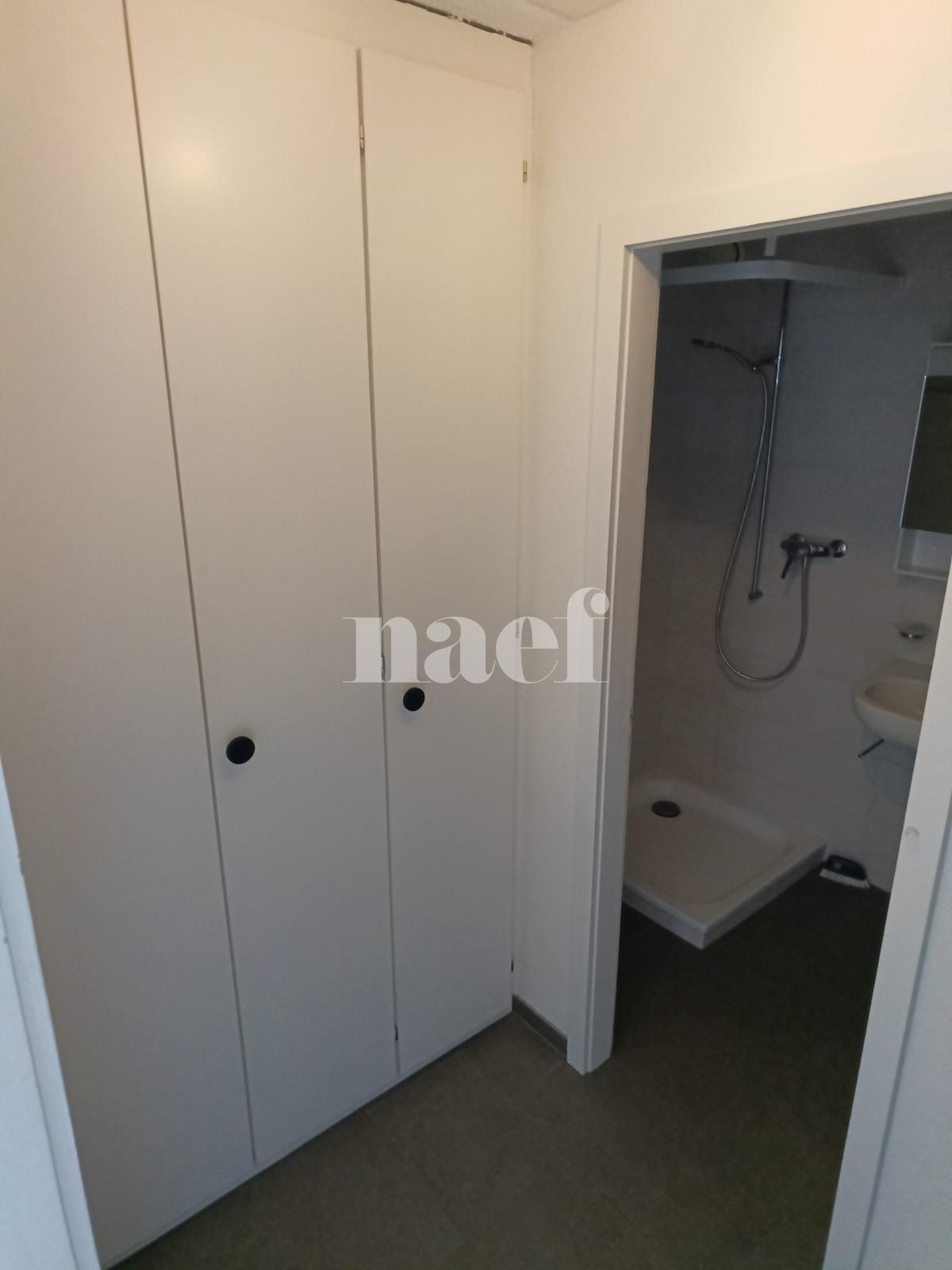 À louer : Appartement 1 Pieces Neuchâtel - Ref : 208412.5004 | Naef Immobilier