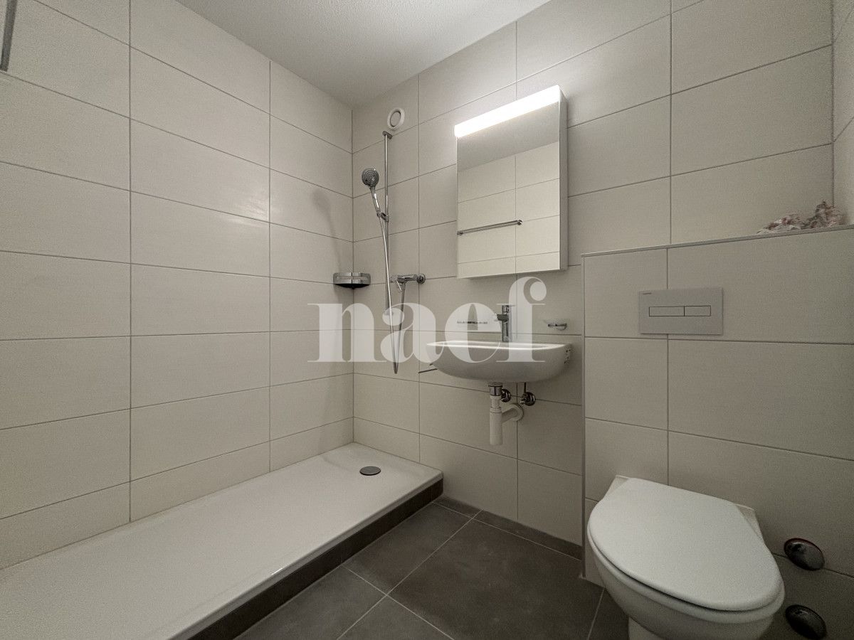 À louer : Appartement 2 Pieces Neuchâtel - Ref : 208440.1001 | Naef Immobilier