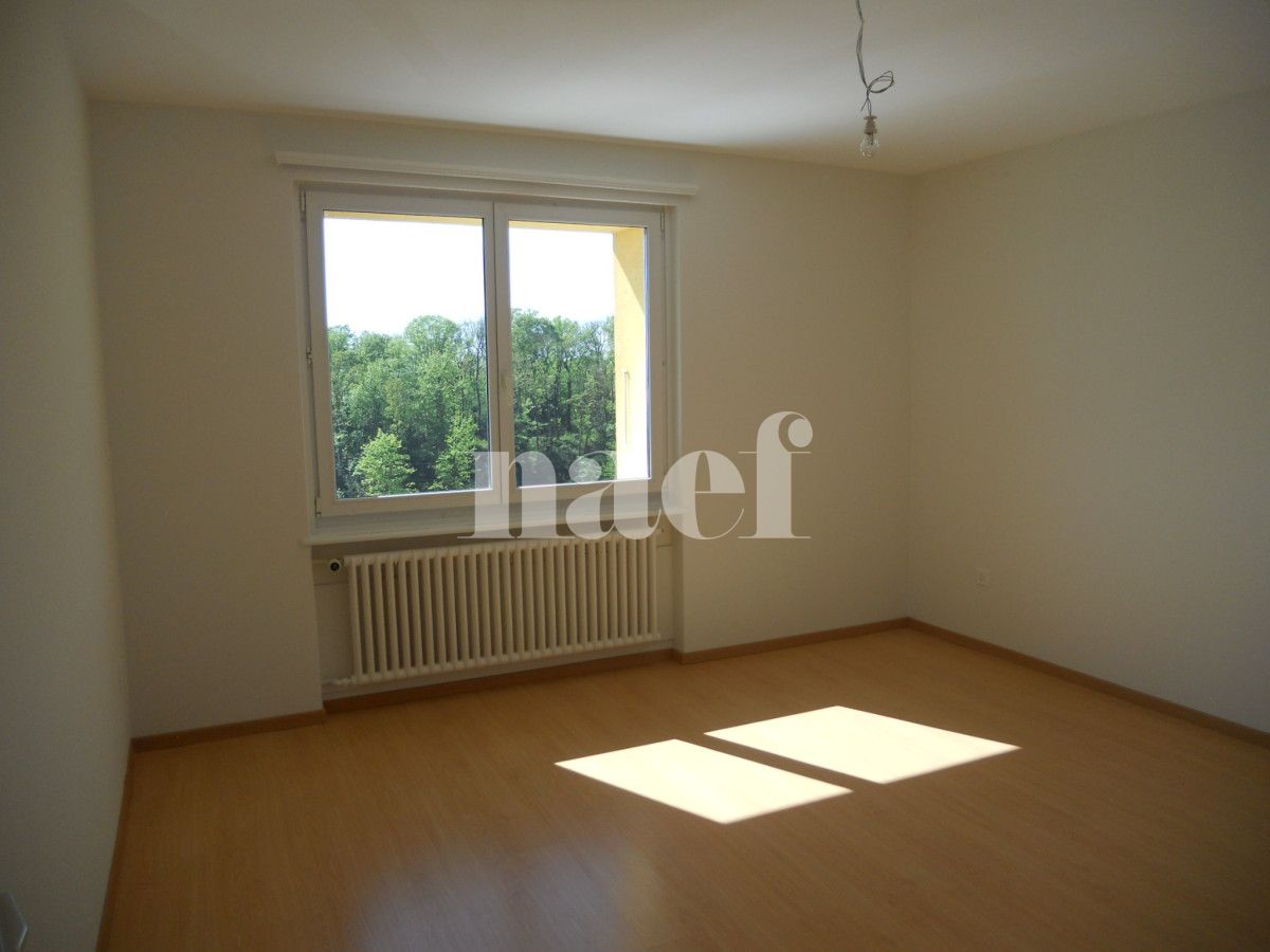 À louer : Appartement 4 Pieces Neuchâtel - Ref : 208618.3001 | Naef Immobilier
