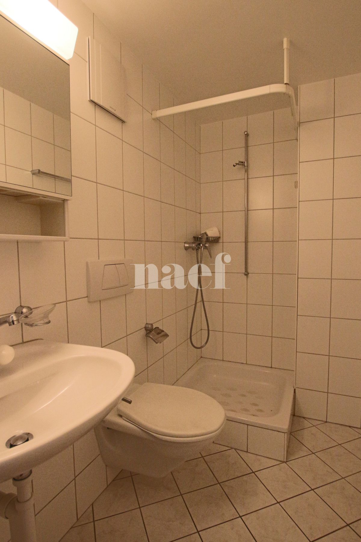 À louer : Appartement 4.5 Pieces Marin-Epagnier - Ref : 208621.2006 | Naef Immobilier