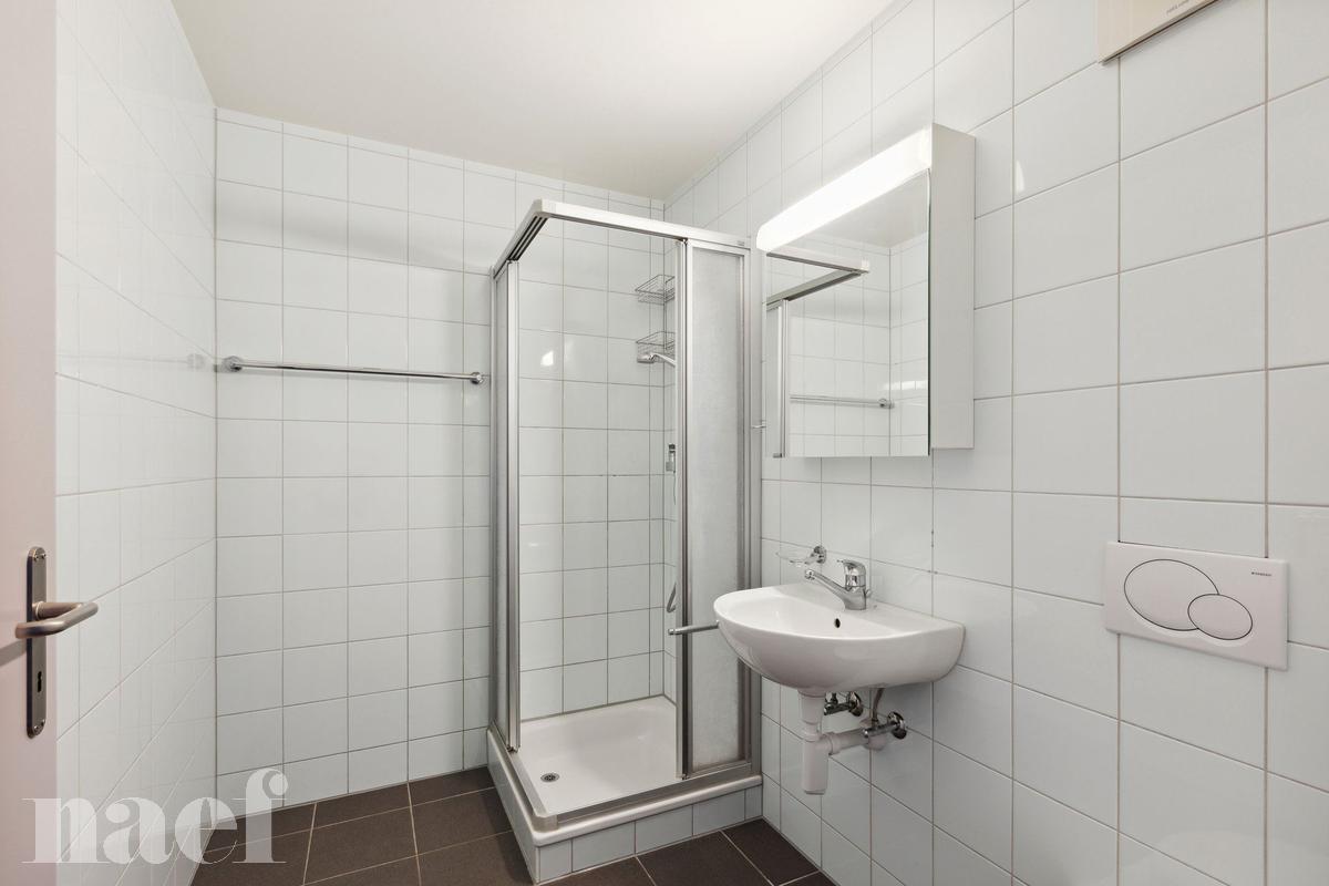 À louer : Appartement 5.5 Pieces Neuchâtel - Ref : 208693.4002 | Naef Immobilier