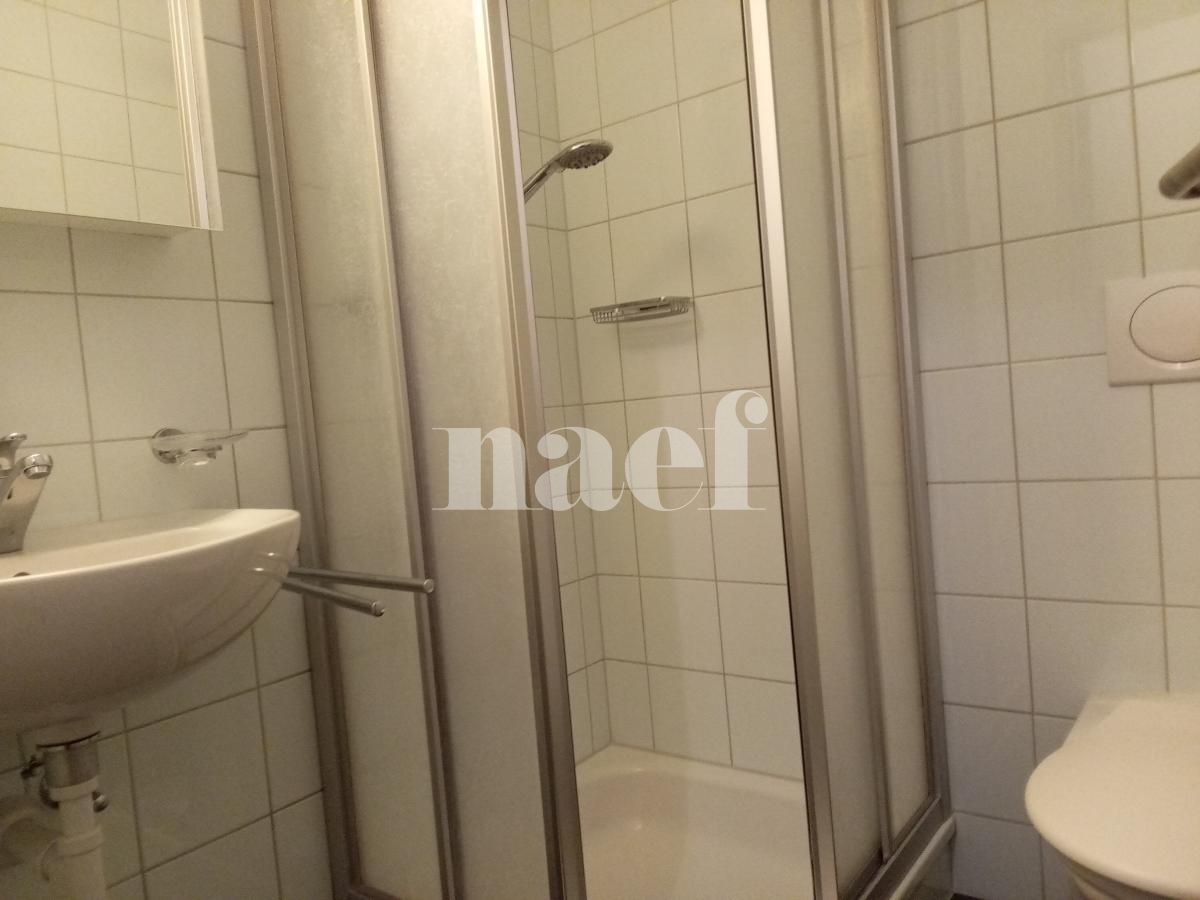 À louer : Appartement 4.5 Pieces Neuchâtel - Ref : 208695.1001 | Naef Immobilier