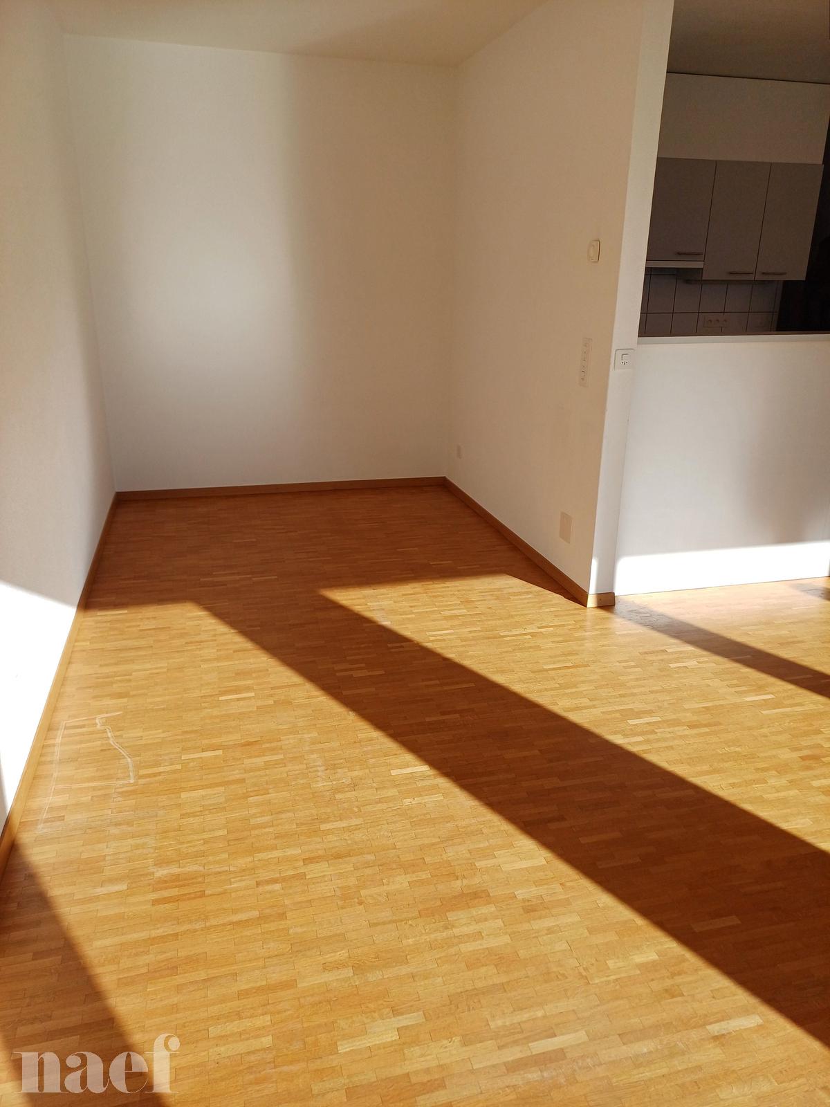 À louer : Appartement 1 Pieces Delémont - Ref : 208700.3005 | Naef Immobilier