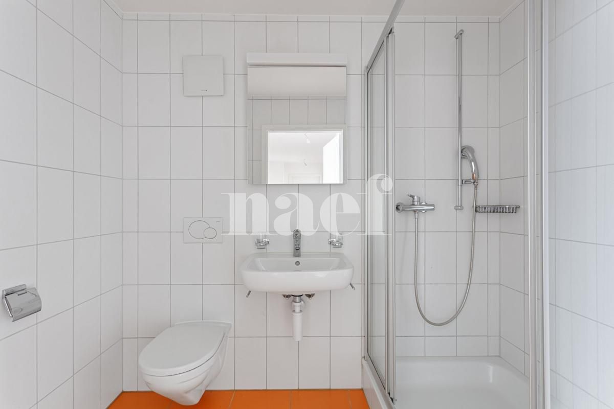 À louer : Appartement 4.5 Pieces Collombey - Ref : 208713.2004 | Naef Immobilier