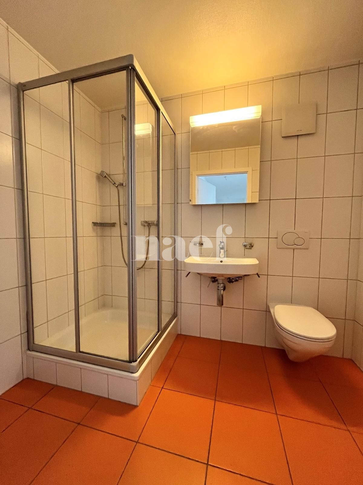 À louer : Appartement 4.5 Pieces Collombey - Ref : 208713.3001 | Naef Immobilier