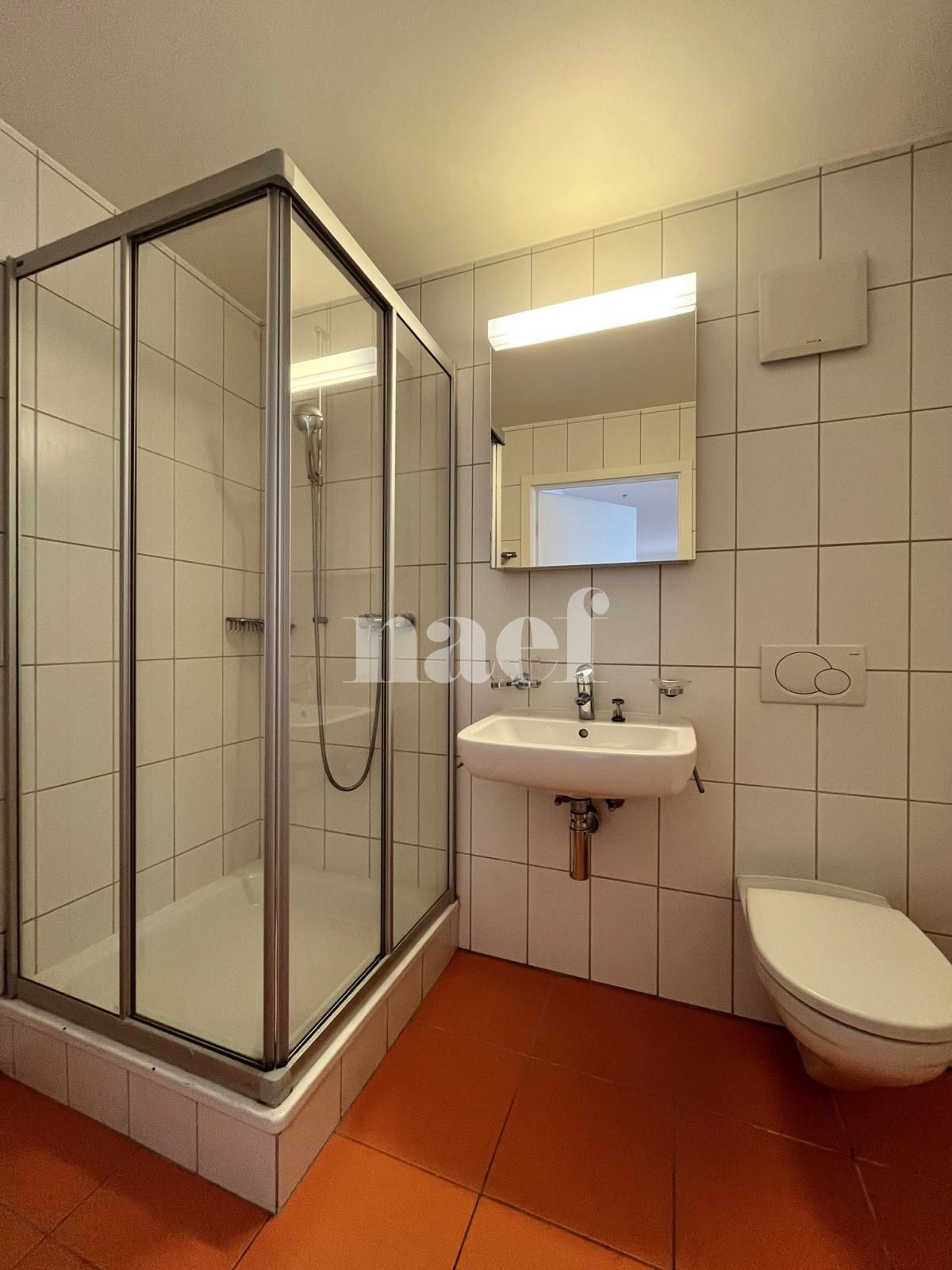 À louer : Appartement 4.5 Pieces Collombey - Ref : 208713.4001 | Naef Immobilier