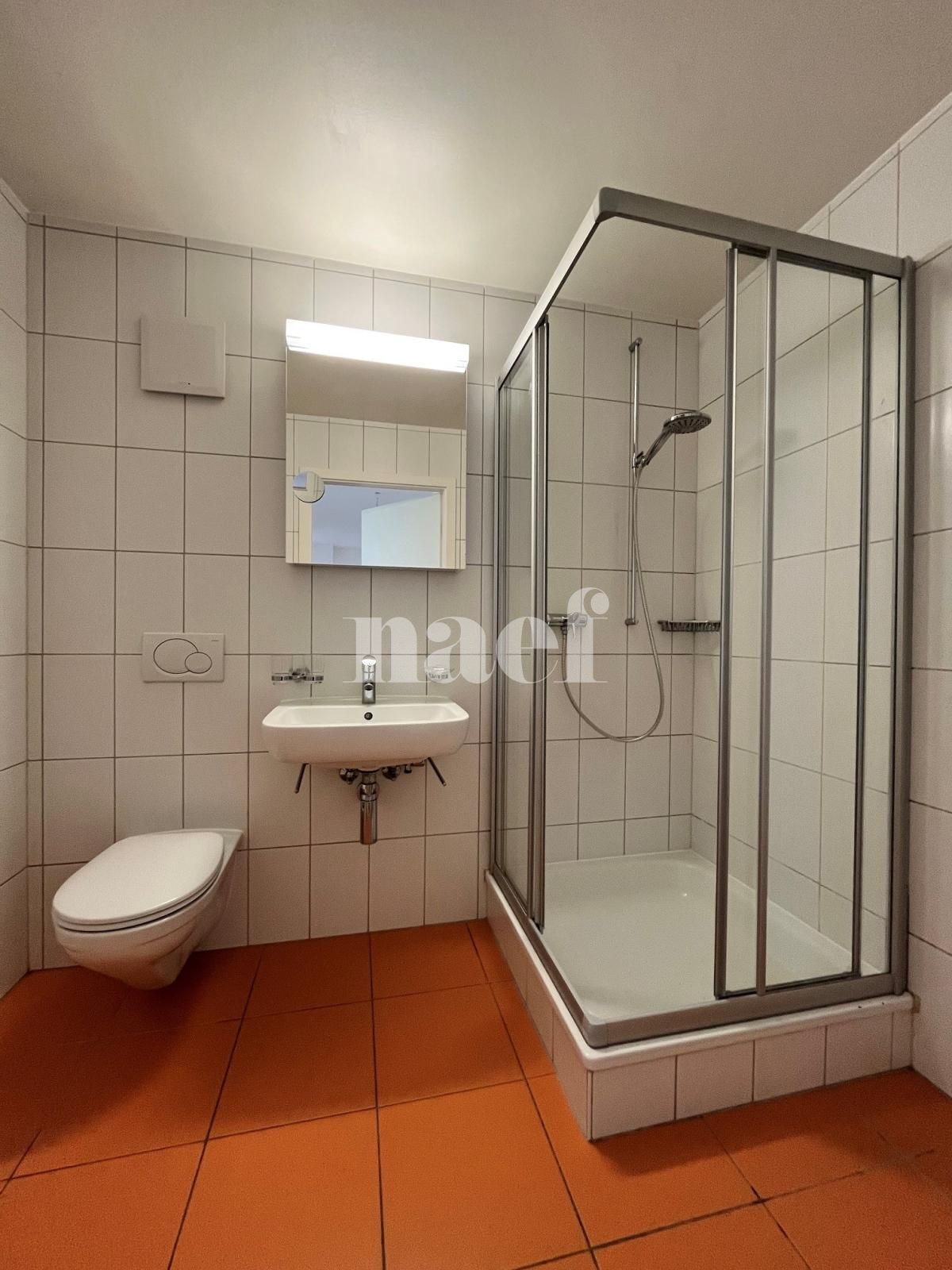 À louer : Appartement 4.5 Pieces Collombey - Ref : 208715.2004 | Naef Immobilier