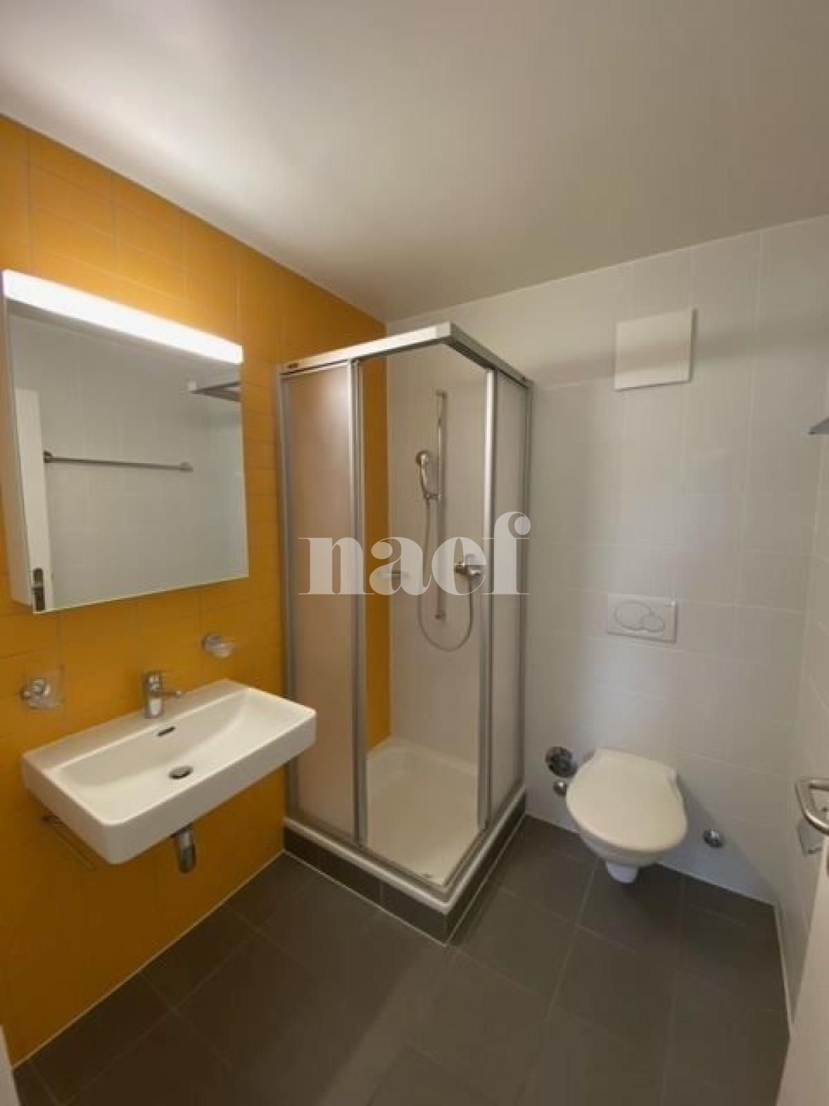 À louer : Appartement 4.5 Pieces La Sarraz - Ref : 208737.1001 | Naef Immobilier