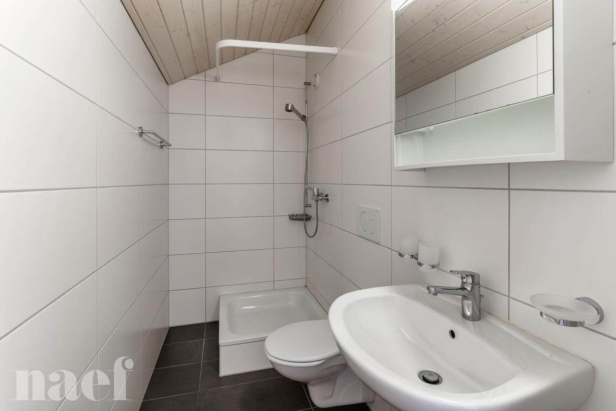 À louer : Appartement 2.5 Pieces Moudon - Ref : 208771.3003 | Naef Immobilier