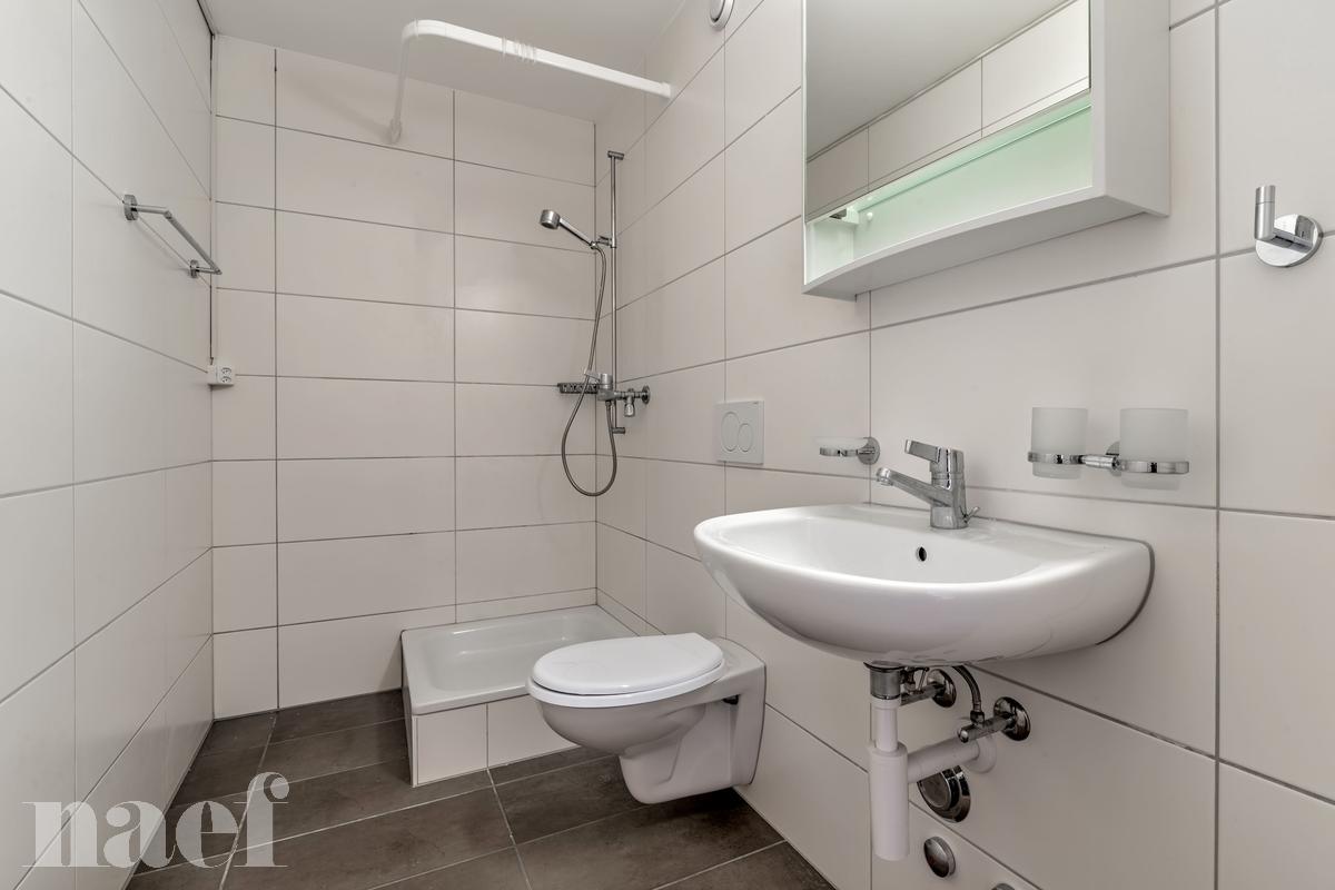 À louer : Appartement 2.5 Pieces Moudon - Ref : 208772.3003 | Naef Immobilier