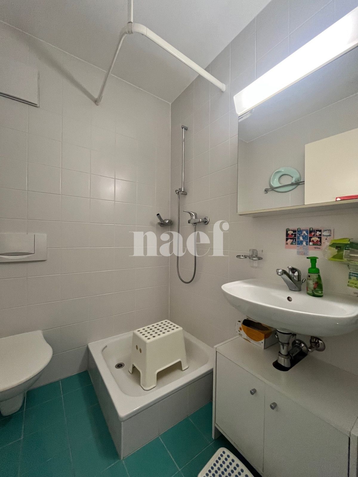 À louer : Appartement 4.5 Pieces Sion - Ref : 208789.1003 | Naef Immobilier