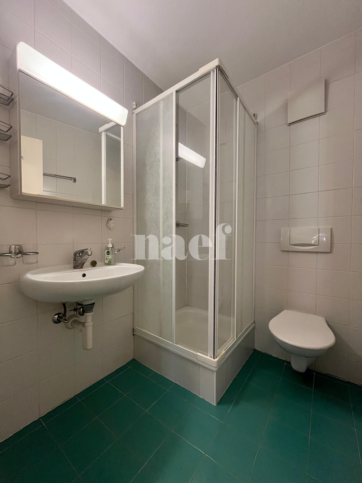 À louer : Appartement 5.5 Pieces Sion - Ref : 208790.2003 | Naef Immobilier
