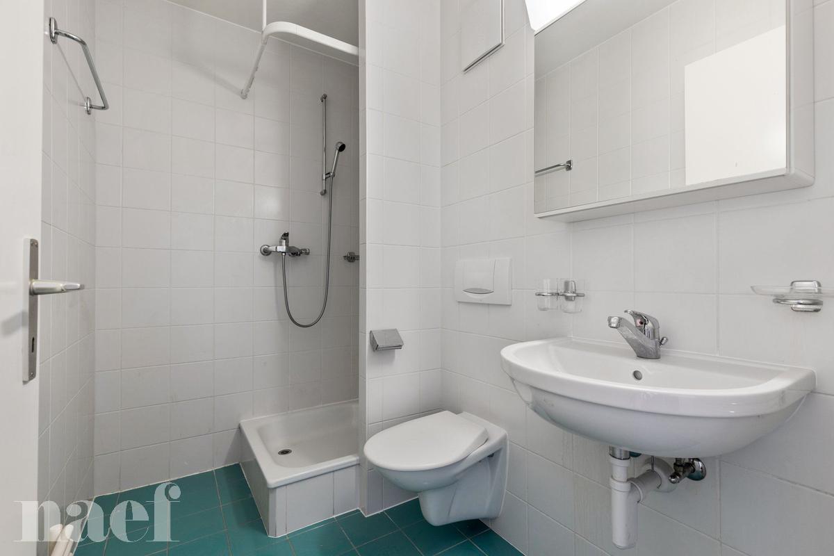 À louer : Appartement 4.5 Pieces Sion - Ref : 208790.3005 | Naef Immobilier
