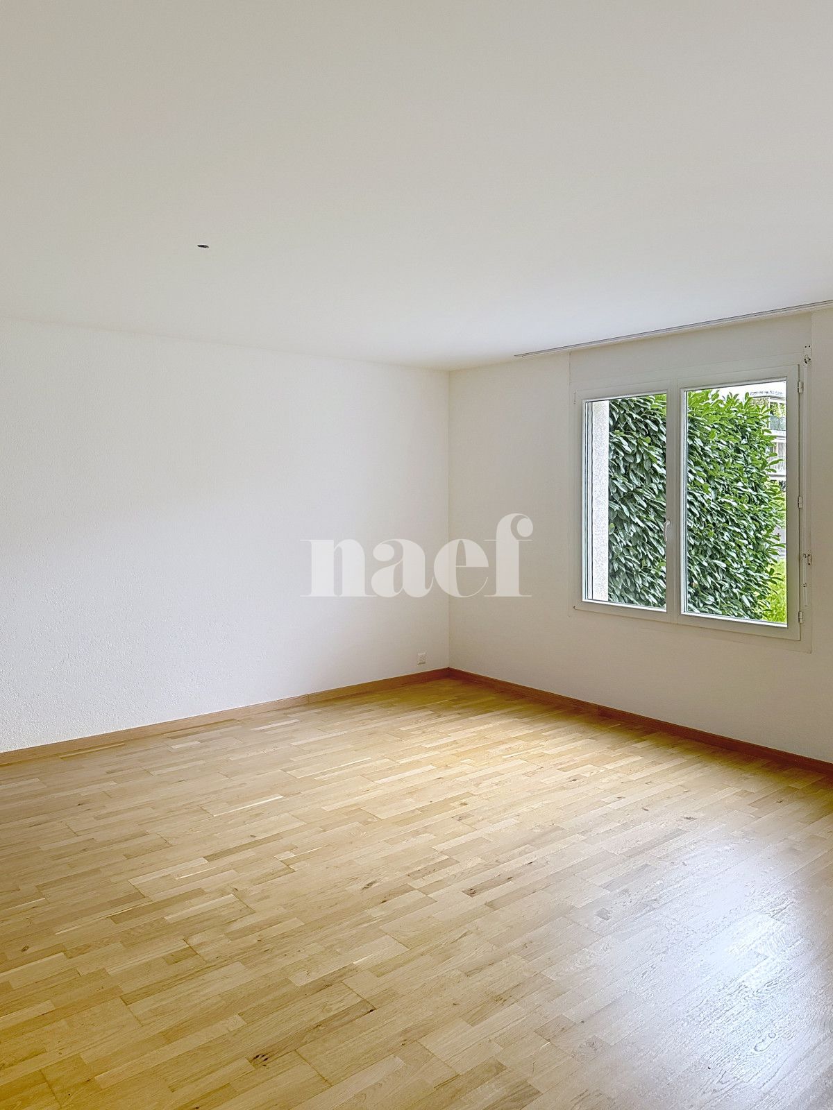 À louer : Appartement 3.5 Pieces Yverdon-les-Bains - Ref : 208825.1002 | Naef Immobilier