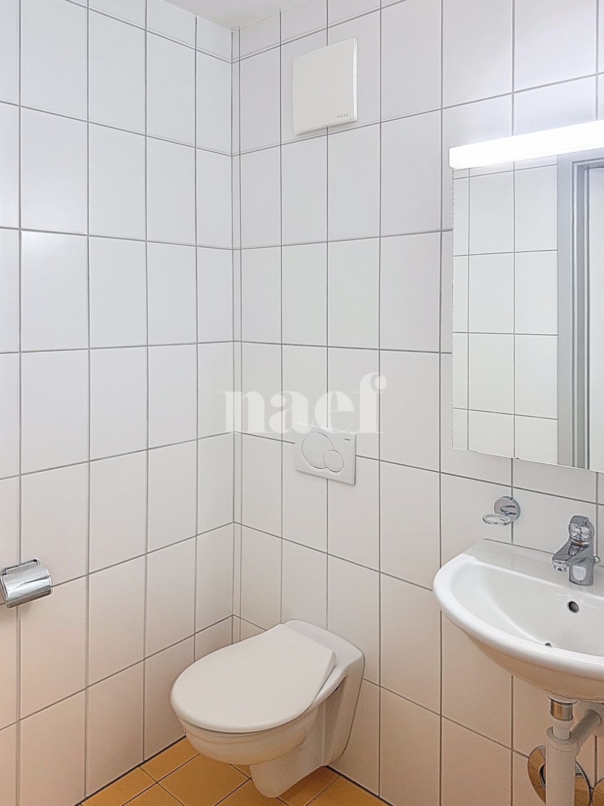 À louer : Appartement 3.5 Pieces Yverdon-les-Bains - Ref : 208825.1002 | Naef Immobilier
