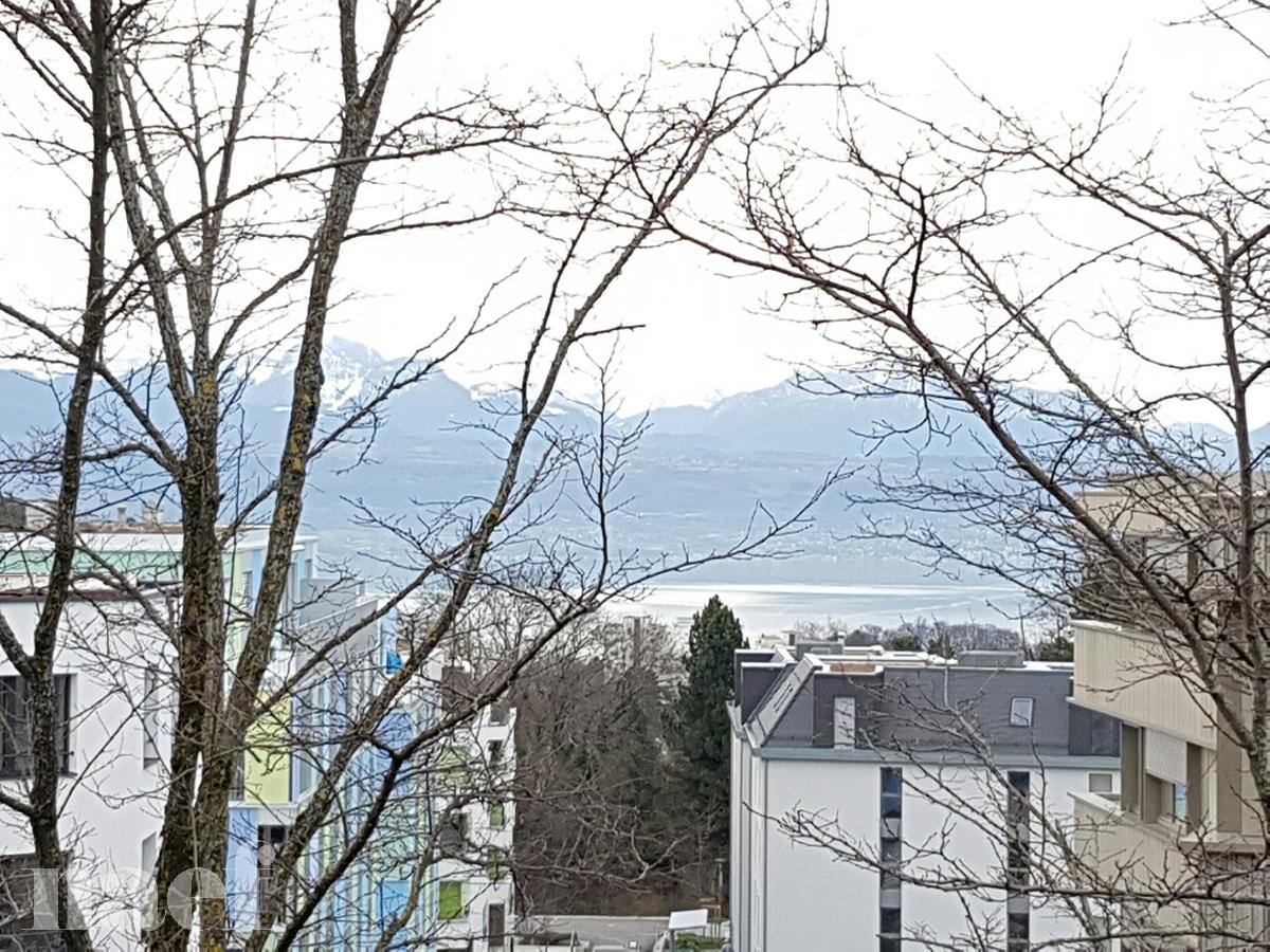 À louer : Appartement 2 Pieces Lausanne - Ref : 208830.3002 | Naef Immobilier