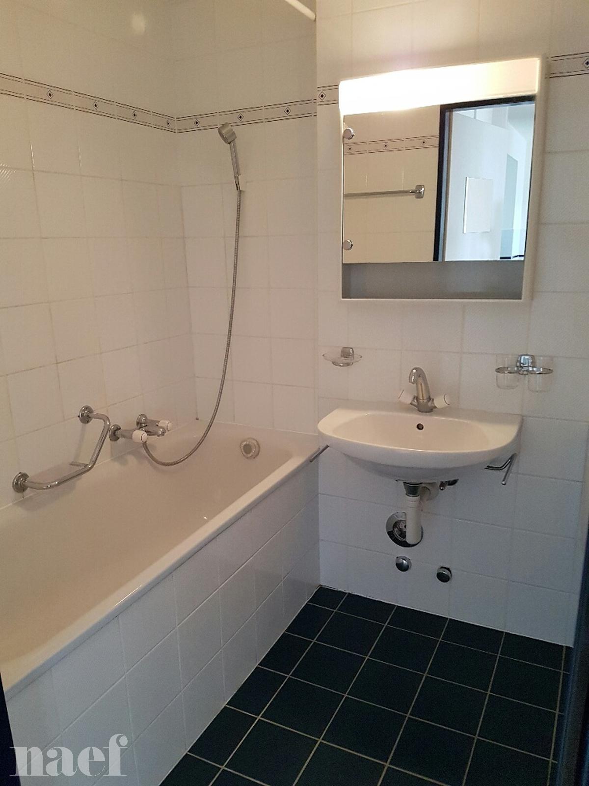 À louer : Appartement 2 Pieces Lausanne - Ref : 208830.3002 | Naef Immobilier