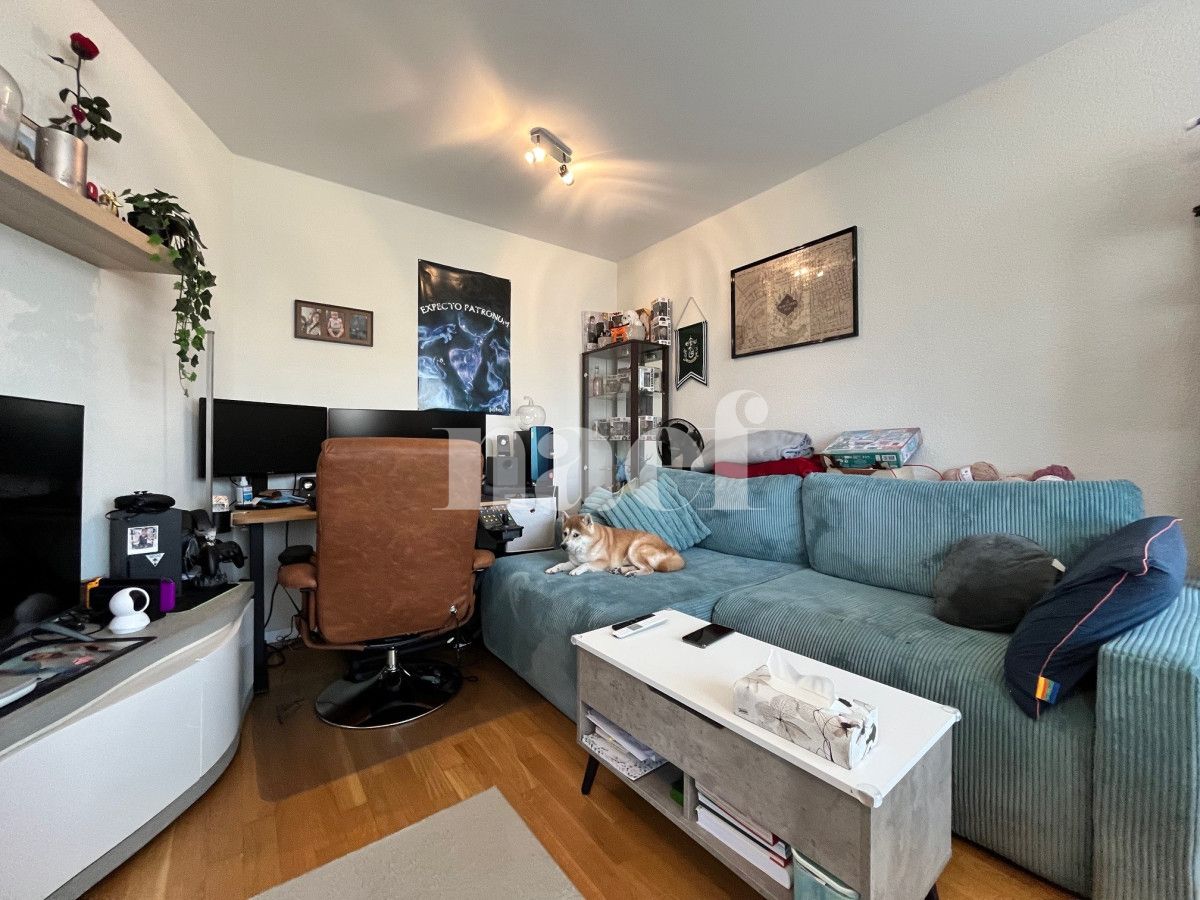 À louer : Appartement 2.5 Pieces Monthey - Ref : 208832.5002 | Naef Immobilier