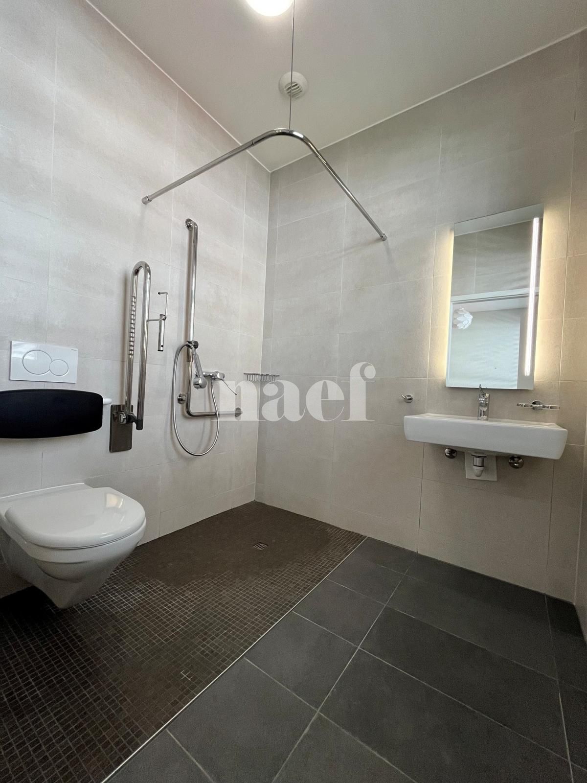 À louer : Appartement 1 Pieces Monthey - Ref : 208836.1004 | Naef Immobilier