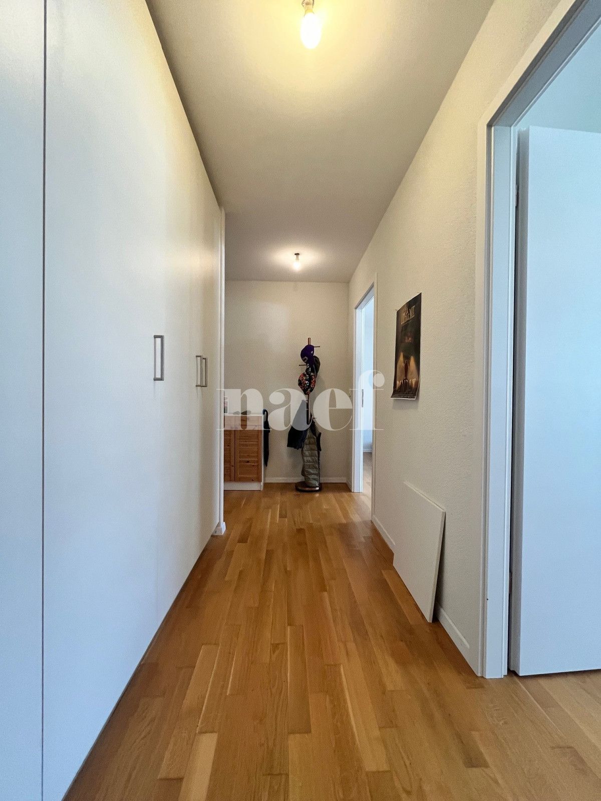 À louer : Appartement 3.5 Pieces Monthey - Ref : 208839.2001 | Naef Immobilier