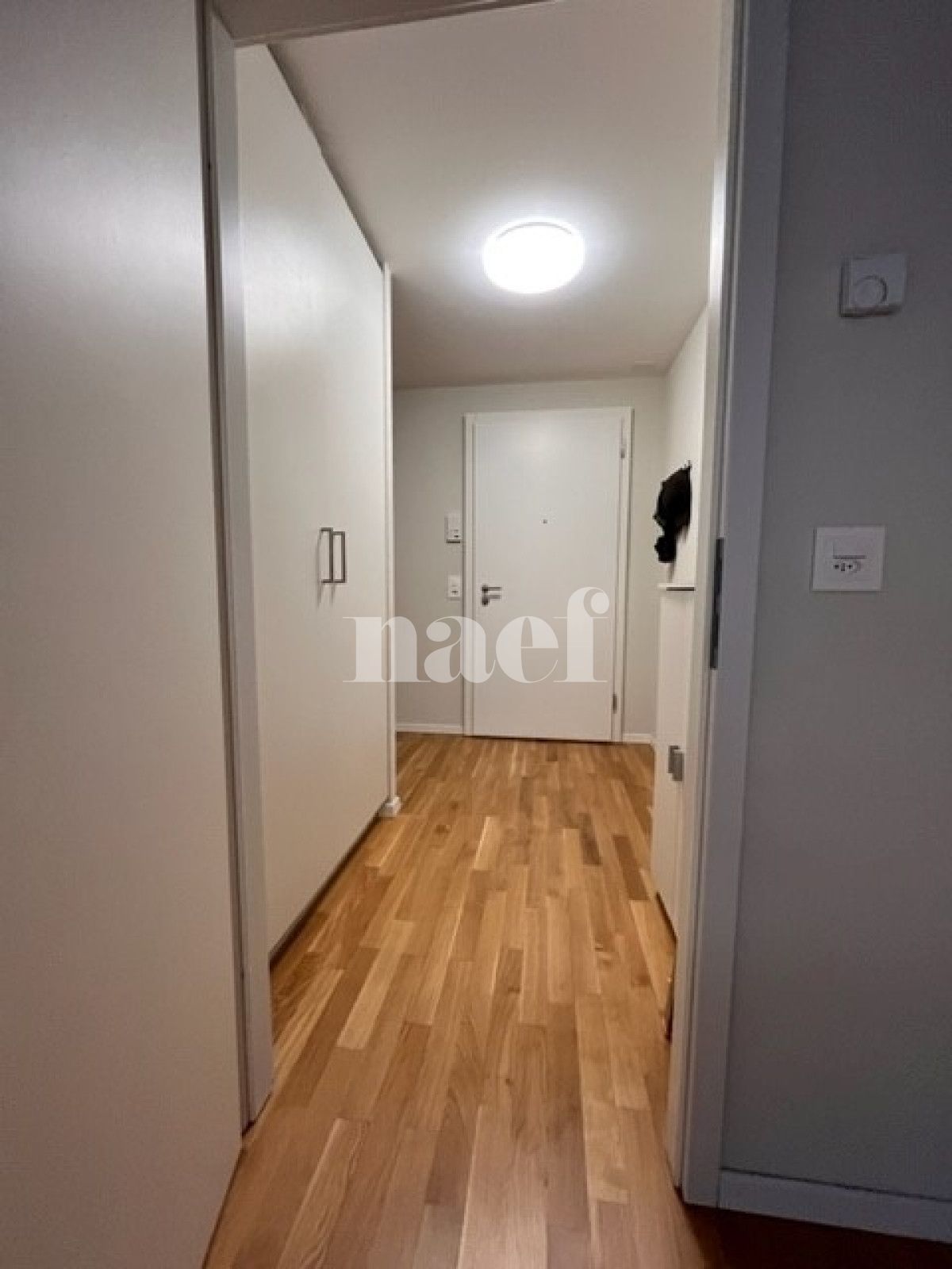 À louer : Appartement 2.5 Pieces Monthey - Ref : 208840.2 | Naef Immobilier