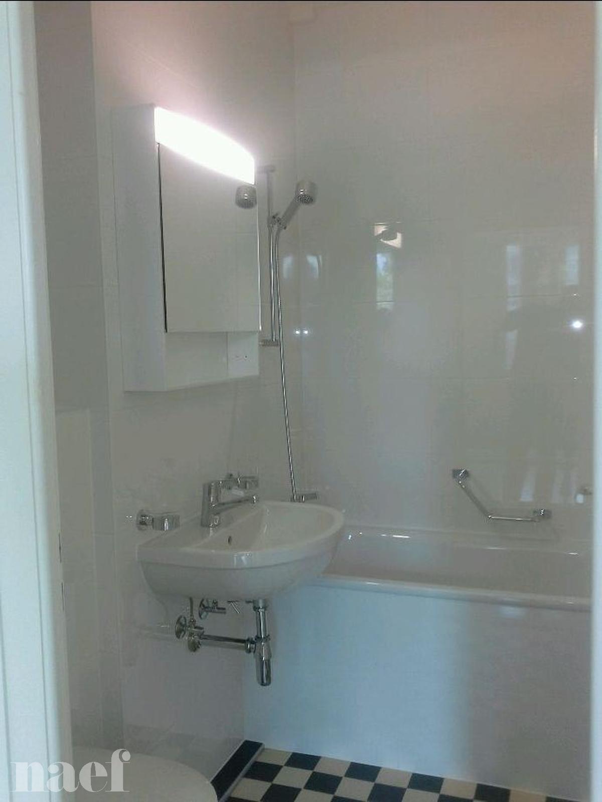 À louer : Appartement 1 Pieces Genève - Ref : 209400.2001 | Naef Immobilier