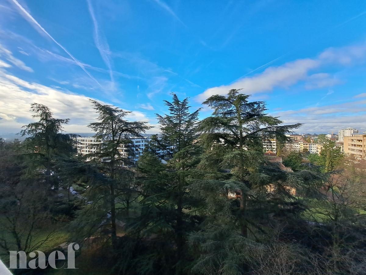 À louer : Appartement 6 Pieces Thônex - Ref : 209406.8083 | Naef Immobilier