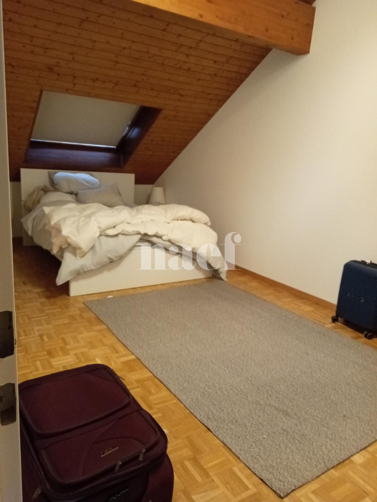 À louer : Appartement 3 Pieces Genève - Ref : 210059.5002 | Naef Immobilier