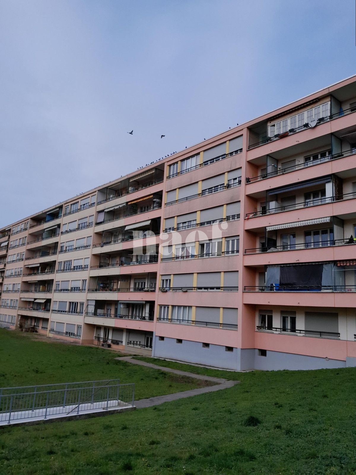 À louer : Appartement 4 Pieces Meyrin - Ref : 210092.1102 | Naef Immobilier