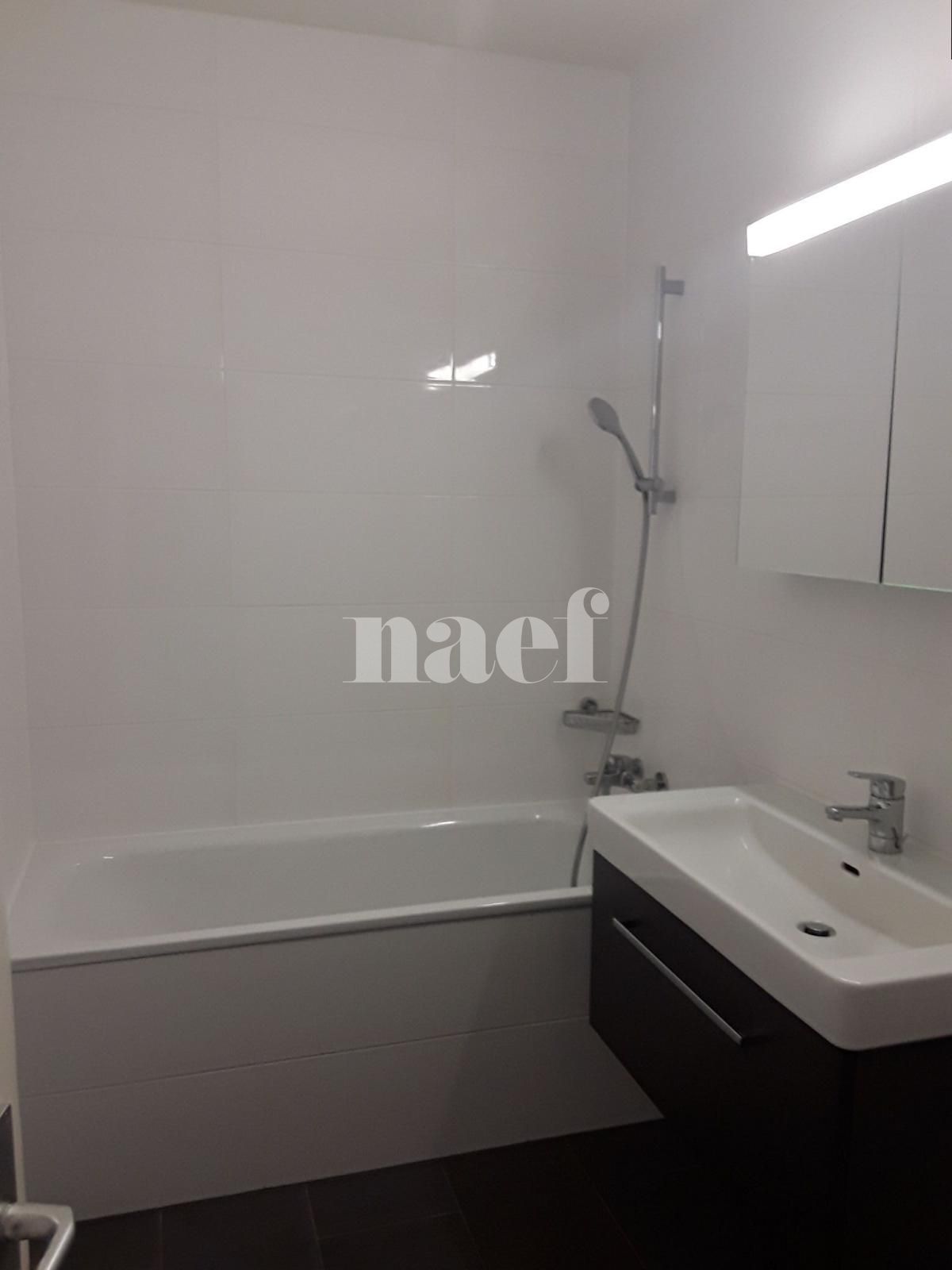 À louer : Appartement 4 Pieces Meyrin - Ref : 210092.1102 | Naef Immobilier