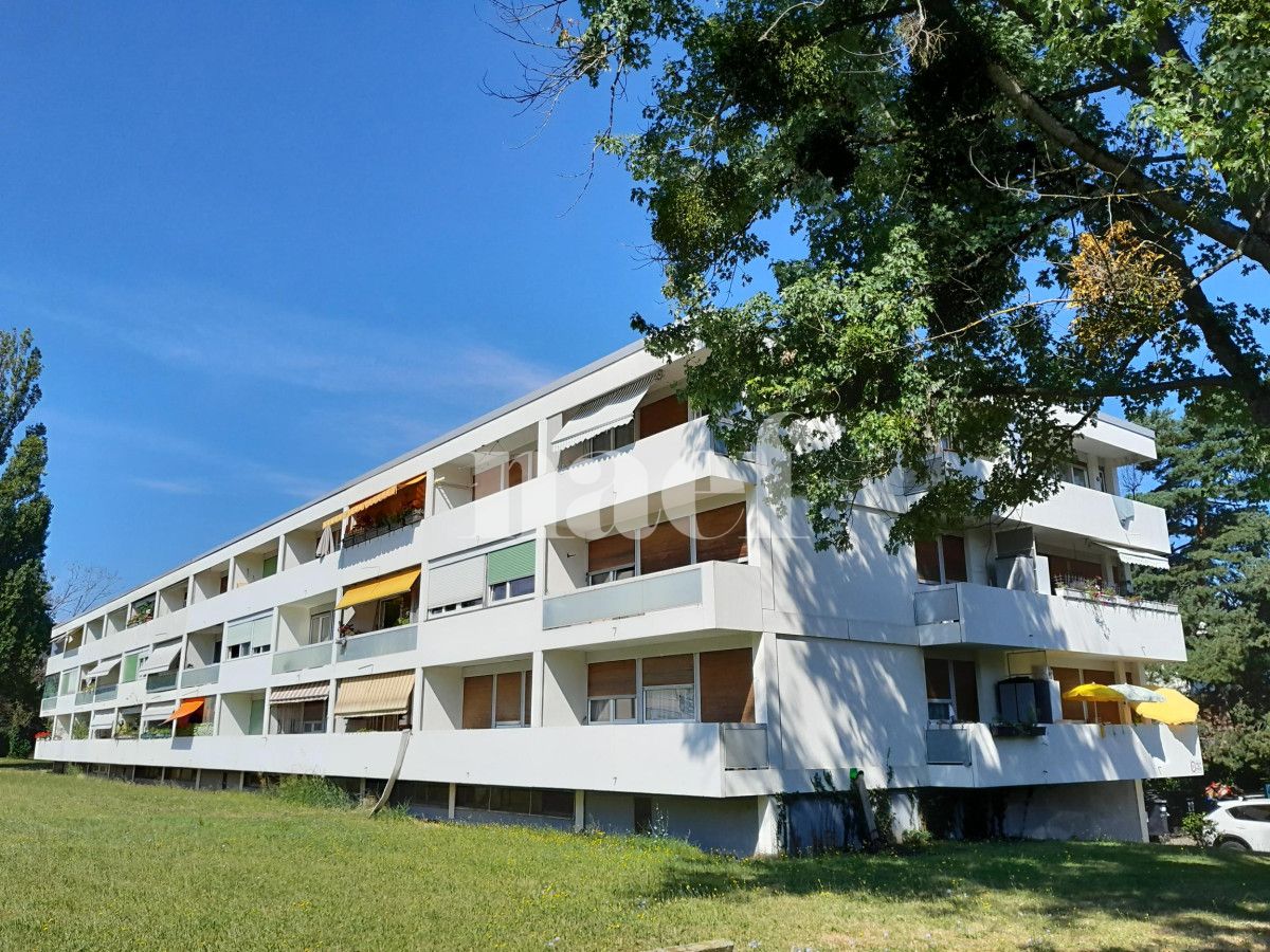 À louer : Appartement 3 Pieces Onex - Ref : 210099.3 | Naef Immobilier