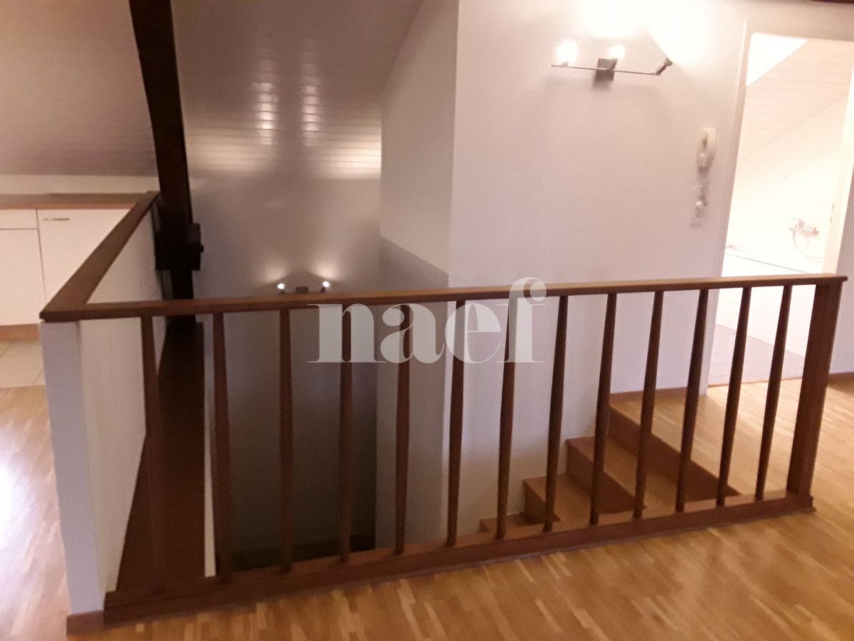 À louer : Appartement 4 Pieces Carouge - Ref : 210162.3001 | Naef Immobilier