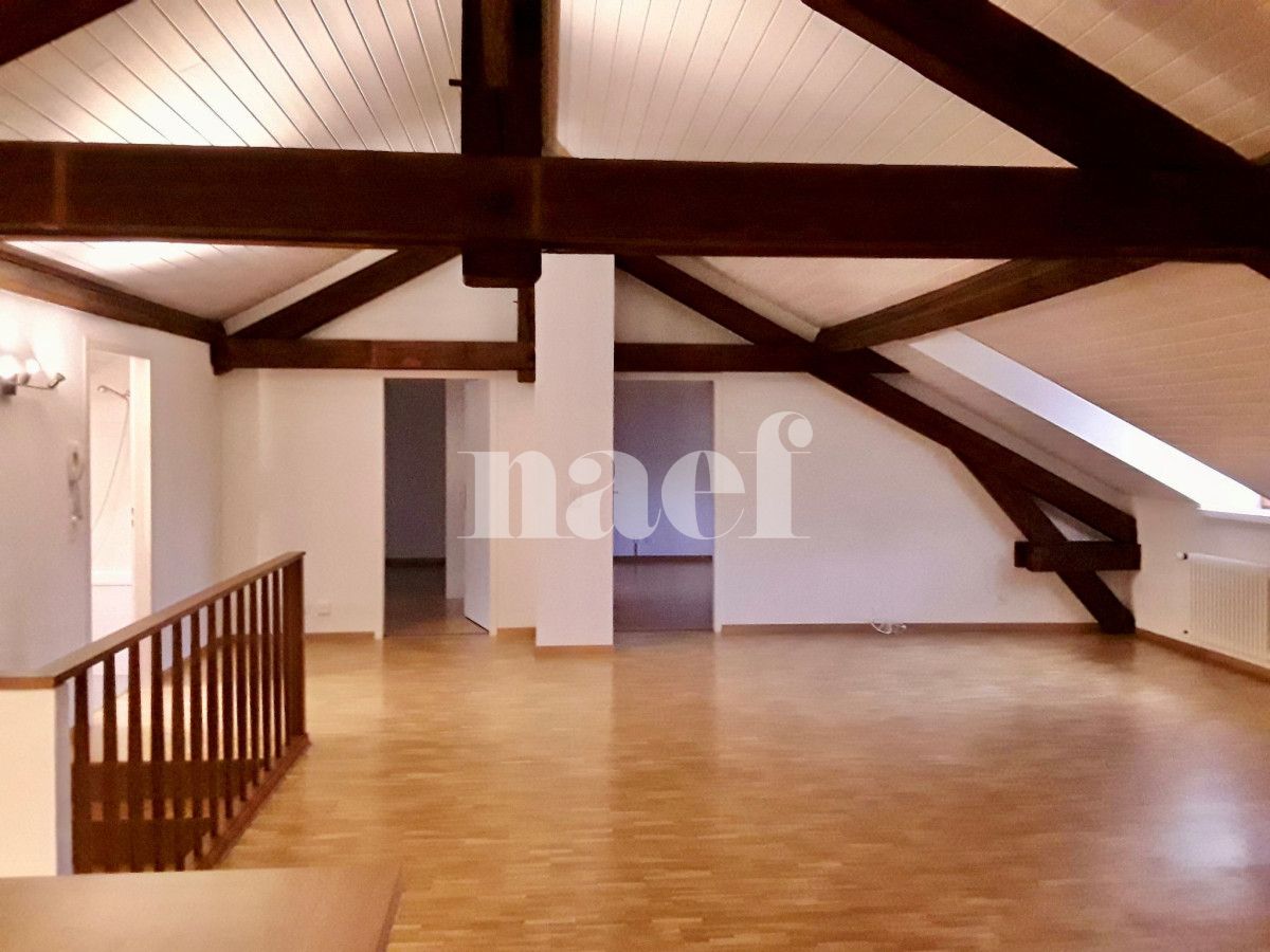 À louer : Appartement 4 Pieces Carouge - Ref : 210162.3001 | Naef Immobilier