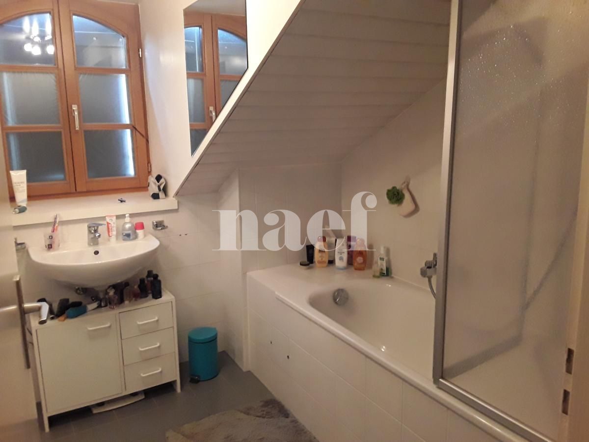 À louer : Appartement 4 Pieces Carouge - Ref : 210162.3001 | Naef Immobilier