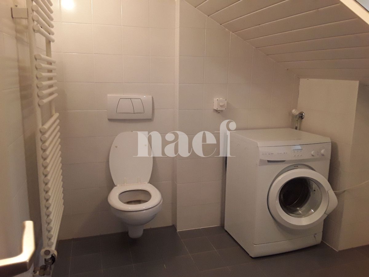 À louer : Appartement 4 Pieces Carouge - Ref : 210162.3001 | Naef Immobilier