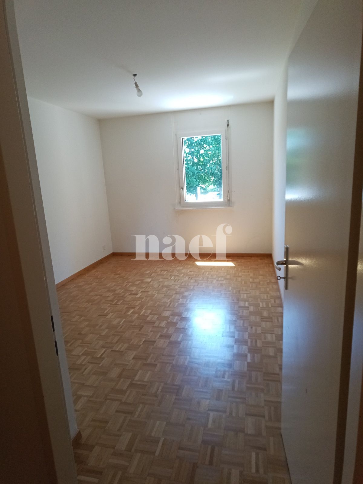 À louer : Appartement 4 Pieces Vernier - Ref : 210245.1011 | Naef Immobilier