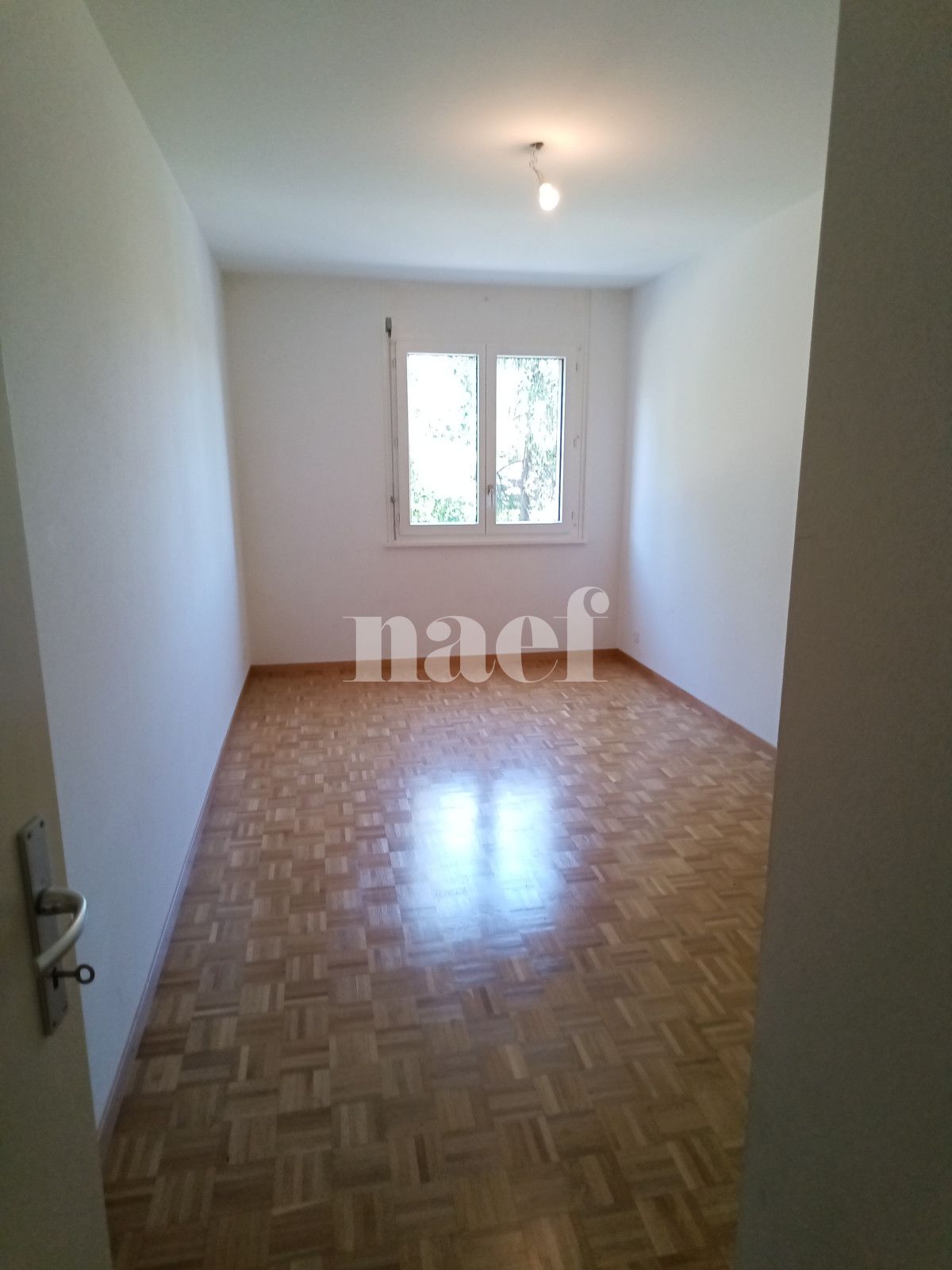 À louer : Appartement 4 Pieces Vernier - Ref : 210245.1011 | Naef Immobilier