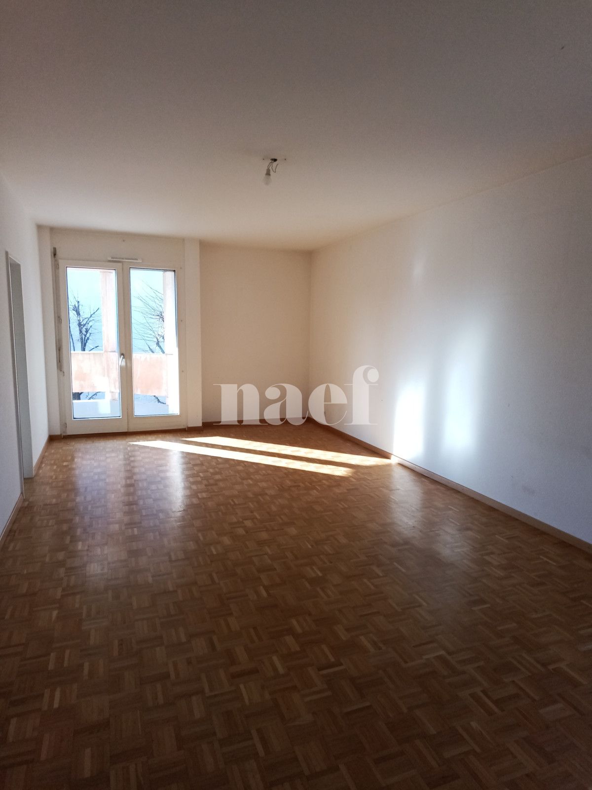 À louer : Appartement 5 Pieces Vernier - Ref : 210245.2023 | Naef Immobilier