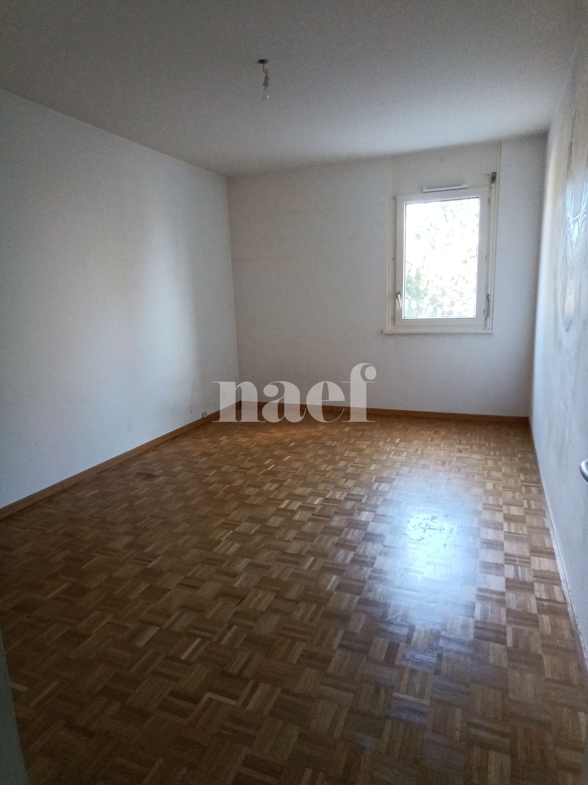 À louer : Appartement 5 Pieces Vernier - Ref : 210245.2023 | Naef Immobilier